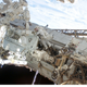 Image for article titled First Pictures of Completed Dextre Giant Space Robot